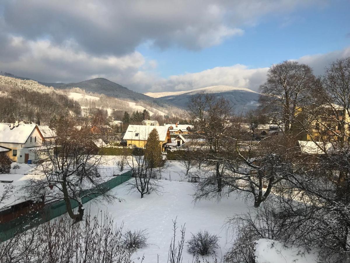 Mezonetovy Apartman Isabela Loučná nad Desnou 外观 照片