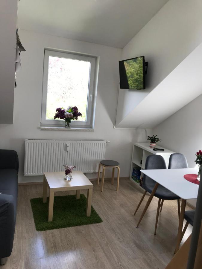 Mezonetovy Apartman Isabela Loučná nad Desnou 外观 照片